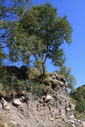 Resize of IMG_3054.JPG