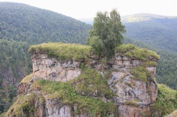 Resize of IMG_3077.JPG