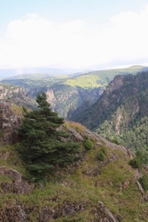 Resize of IMG_3082.JPG