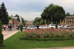 Resize of IMG_3100.JPG