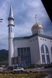 Resize of IMG_2236.JPG