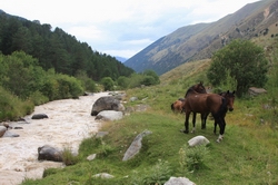 Resize of IMG_2286.JPG