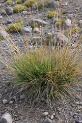 Resize of IMG_2548.JPG