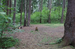 Resize of IMG_3188.JPG