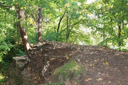 Resize of IMG_3278.JPG