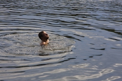 Resize of IMG_3306.JPG