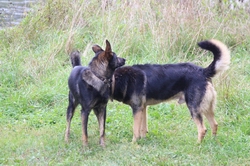 Resize of IMG_3354.JPG
