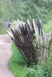 Resize of IMG_3355.JPG