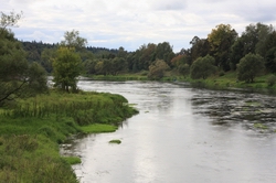 Resize of IMG_3359.JPG