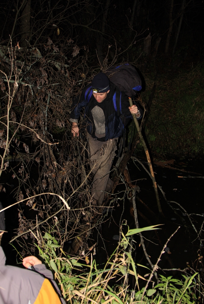 IMG_3707 Андрей не захотел мочить ноги и свалил дерево, чтобы переправится по нему.jpg