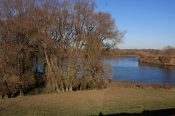 Resize of IMG_3920.JPG