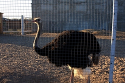 Resize of IMG_4006.JPG