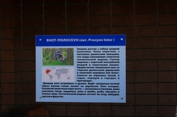 Resize of IMG_4038.JPG