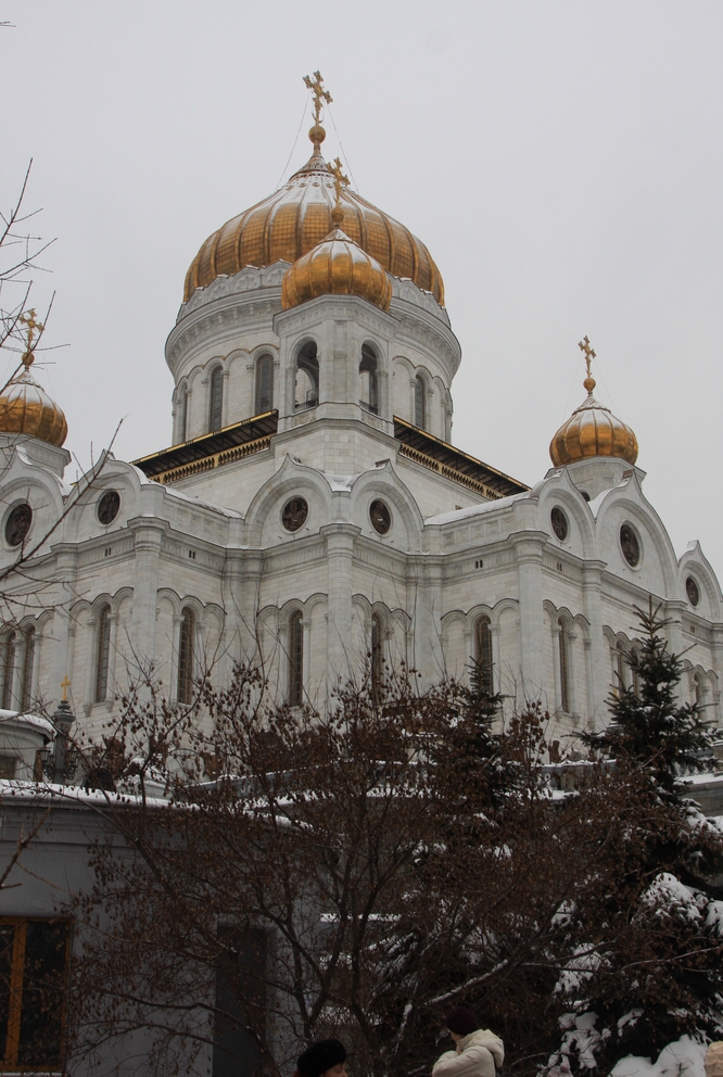 IMG_6133.jpg
