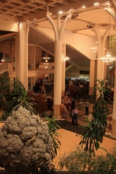 Resize of IMG_6169.jpg