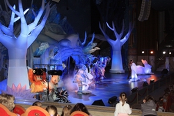 Resize of IMG_6224.jpg