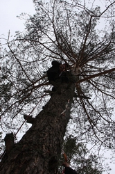 Resize of IMG_7327.jpg