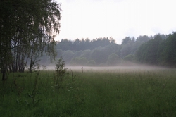 Resize of IMG_8875.JPG