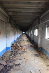 Resize of IMG_0208.JPG