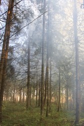 Resize of IMG_0215 Утро третьего дня. Абсолютный штиль.JPG