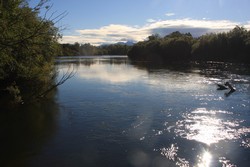Resize of IMG_9290.JPG