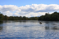 Resize of IMG_9306.JPG
