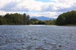 Resize of IMG_9308.JPG