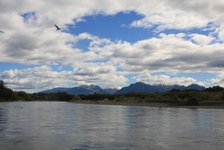 Resize of IMG_9328.JPG