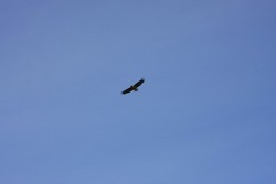 Resize of IMG_9383.JPG