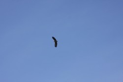 Resize of IMG_9386.JPG