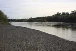 Resize of IMG_9389.JPG