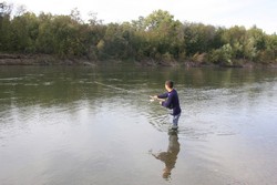 Resize of IMG_9394.JPG