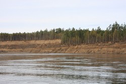 Resize of IMG_9430.JPG