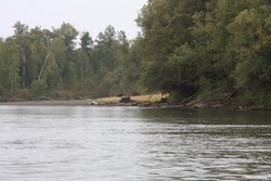 Resize of IMG_9449.JPG