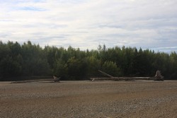 Resize of IMG_9485.JPG