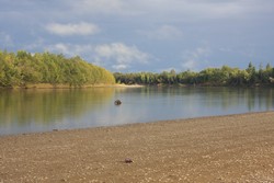Resize of IMG_9487.JPG