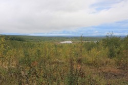 Resize of IMG_9522.JPG