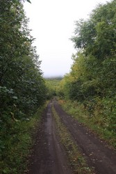 Resize of IMG_9523.JPG