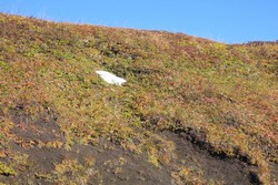 Resize of IMG_9565.JPG