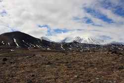 Resize of IMG_9580.JPG