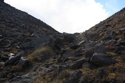 Resize of IMG_9610.JPG