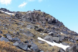 Resize of IMG_9611.JPG