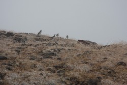 Resize of IMG_9626.JPG