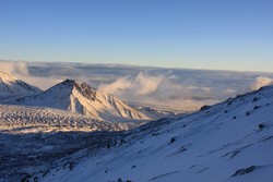 Resize of IMG_9768.JPG