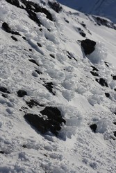 Resize of IMG_9892.JPG