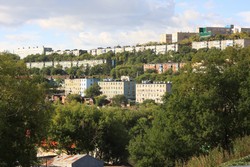 Resize of IMG_9962.JPG