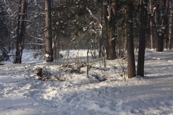 Resize of IMG_5517.JPG