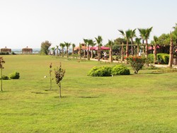 Resize of IMG_6935.JPG