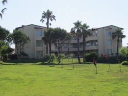 Resize of IMG_6937.JPG