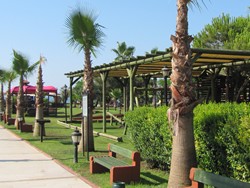 Resize of IMG_6939.JPG